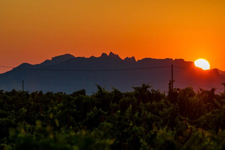 De passage en Vallée du Rhône ?