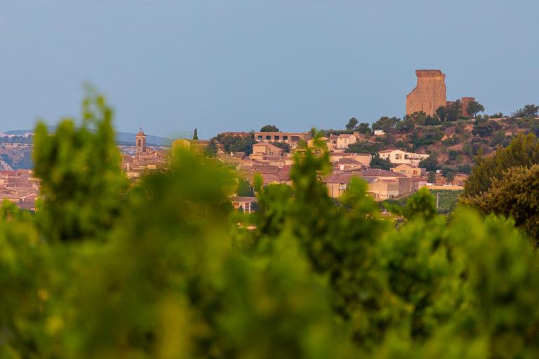 De passage en Vallée du Rhône ?
