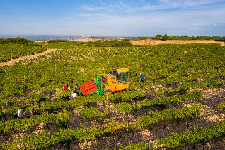 The harvest season
